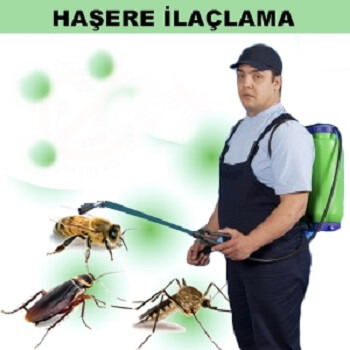 Arsin Böcek İlaçlama
